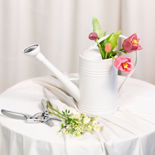 Prodotto Annaffiatoio con diffusore a rosa removibile. Ideale per piante da interno e balconi. 32 cm