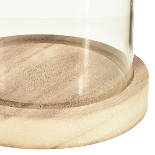 Prodotto Campana in vetro con base in legno naturale trasparente Ø12cm H21cm