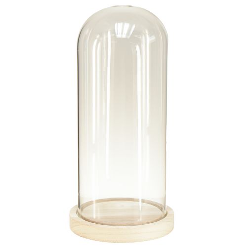 Floristik24 Campana in vetro con architrave in vetro con base in legno chiaro Ø14cm H28,5cm