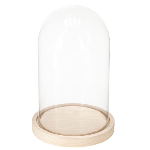 Prodotto Campana di vetro su vassoio di legno, barattolo di vetro, trasparente, naturale, Ø17cm, H24cm