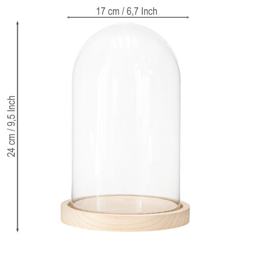 Prodotto Campana di vetro su vassoio di legno, barattolo di vetro, trasparente, naturale, Ø17cm, H24cm