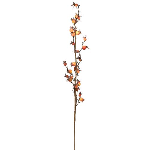 Prodotto Ramo di rosa canina giallo/arancione ramo artificiale decorazione di rosa canina L95cm