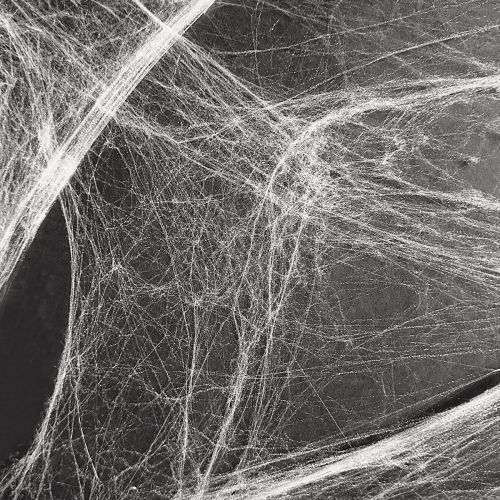 Floristik24 Decorazione di Halloween ragnatela ragnatele 70×100cm 150g