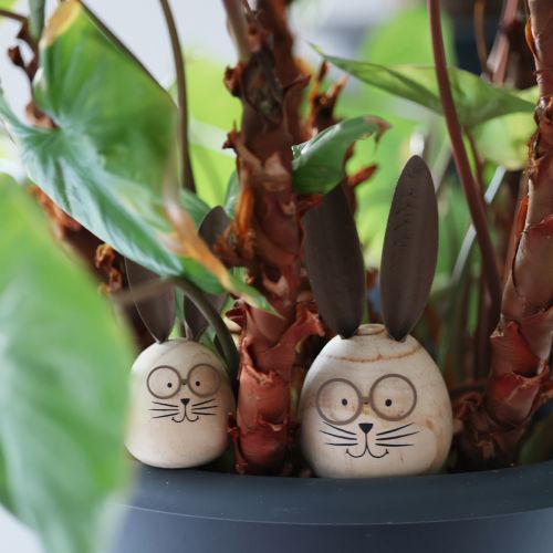 Prodotto Figura decorativa a forma di uovo di coniglio con personaggio per decorazioni primaverili e stagionali, 14 cm, 3 pezzi