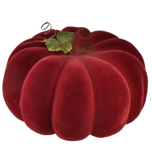 Prodotto Decorazione autunnale zucca floccata rosso bordeaux - decorazione di zucca per un ambiente autunnale unico 32 cm