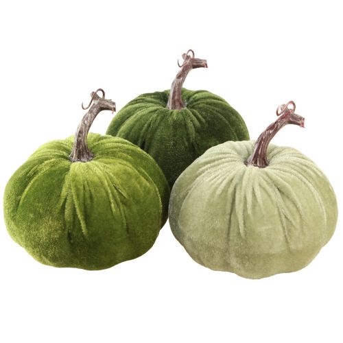 Floristik24 Decorazione autunnale zucca verde chiaro verde verde scuro Ø13 cm 3 pz