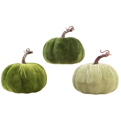 Floristik24 Decorazione autunnale zucca verde chiaro verde verde scuro Ø13 cm 3 pz