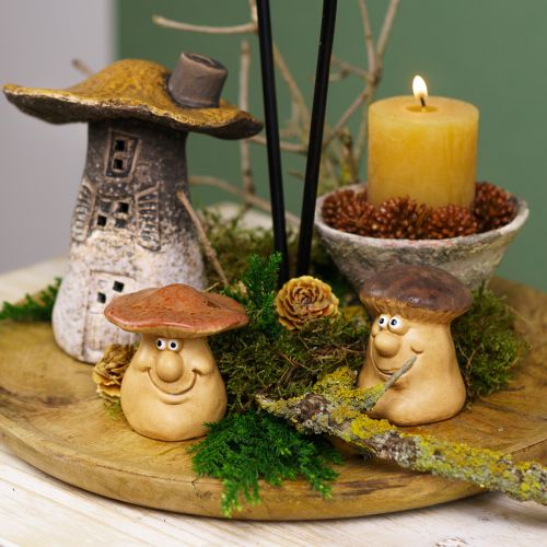 Prodotto Set di decorazioni autunnali riccio funghi drago – acquista scatola decorativa a buon mercato
