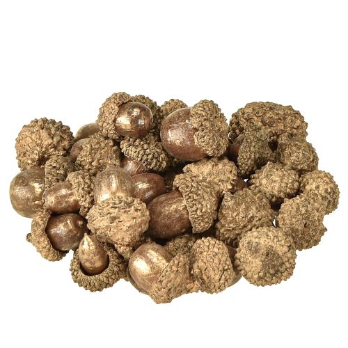 Floristik24 Frutti autunnali dorati, decorazioni autunnali festive, ghiande decorative naturali, decorazione dell&#39;Avvento Ø1,5 – 2,5 cm L1,5 – 3 cm 300 g