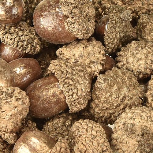Prodotto Frutti autunnali dorati, decorazioni autunnali festive, ghiande decorative naturali, decorazione dell&#39;Avvento Ø1,5 – 2,5 cm L1,5 – 3 cm 300 g