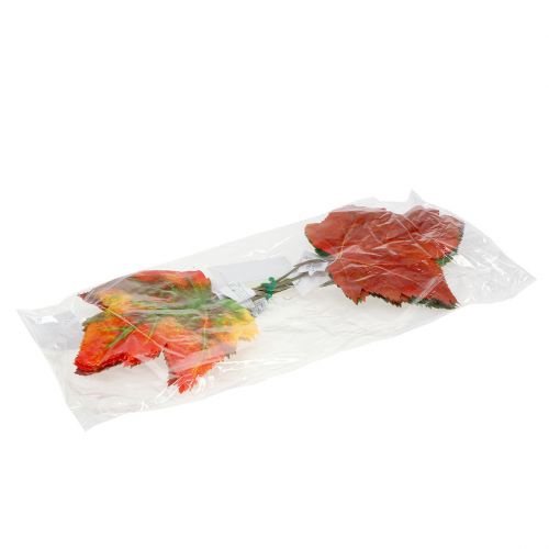 Floristik24 Decorazione foglia d&#39;acero 36 cm 12 pezzi