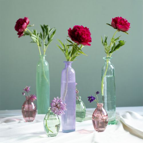 Floristik24 Vaso alto per fiori bottiglie viola vetro decorativo Ø6,5cm H30cm