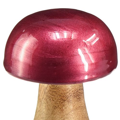 Prodotto Funghi in legno funghi decorativi legno rosso lucido Ø6cm H10cm 2 pezzi
