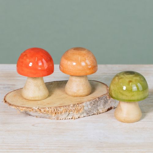 Prodotto Funghi in legno decorazione autunnale funghi verde rosso arancione H6.5cm 9 pezzi