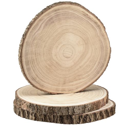 Floristik24 Dischi in legno disco per albero Paulownia naturale Ø26-28cm 3 pz