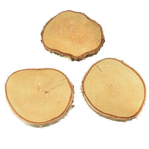 Prodotto Dischi di legno di betulla con corteccia d'albero Ø20-22cm 3 pezzi