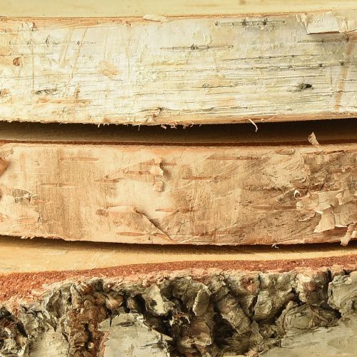 Prodotto Dischi di legno di betulla con corteccia d'albero Ø20-22cm 3 pezzi