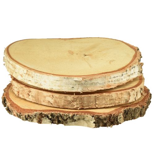 Floristik24 Dischi di legno di betulla con corteccia d&#39;albero Ø20-22cm 3 pezzi