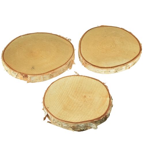 Prodotto Dischi di legno Dischi decorativi di betulla Ø15-18cm 3 pz