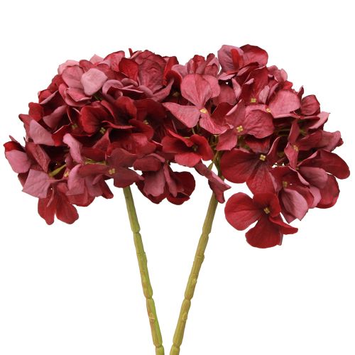 Prodotto Ortensia artificiale Borgogna Fiore grande Ø15cm L58cm 2 pezzi