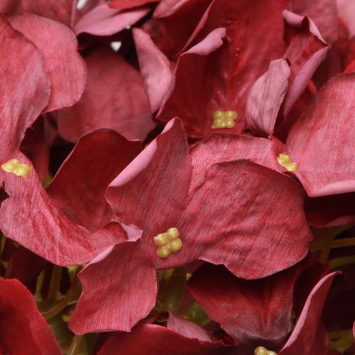 Prodotto Ortensia artificiale Borgogna Fiore grande Ø15cm L58cm 2 pezzi