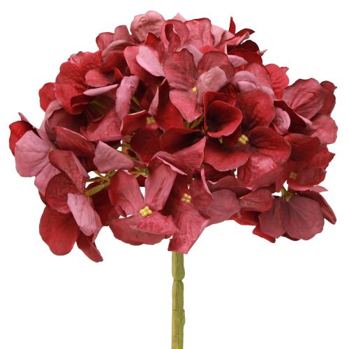 Prodotto Ortensia artificiale Borgogna Fiore grande Ø15cm L58cm 2 pezzi