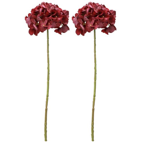 Prodotto Ortensia artificiale Borgogna Fiore grande Ø15cm L58cm 2 pezzi