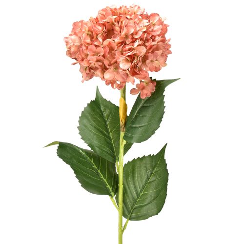 Floristik24 Ortensia rosa 80 cm 1 pz