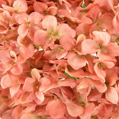 Prodotto Ortensia rosa 80 cm 1 pz
