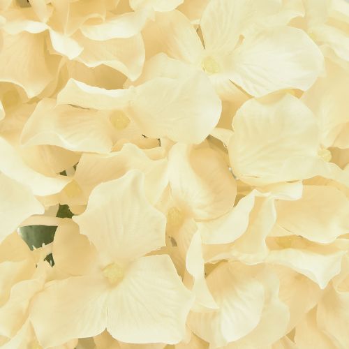Prodotto Corona di ortensie ortensie artificiali color crema Ø40cm