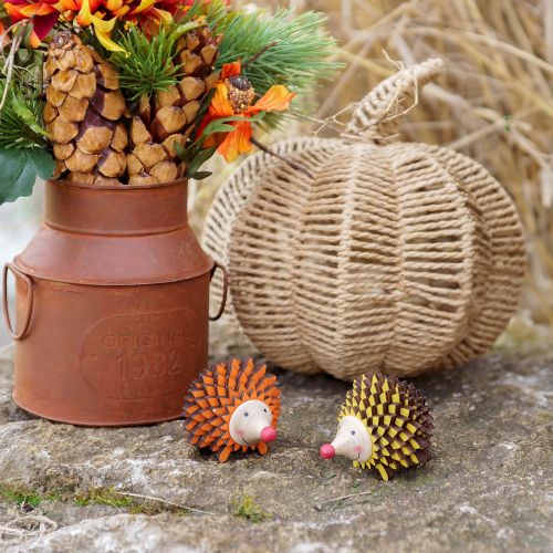 Prodotto Decorazione a forma di riccio in legno autunnale arancione giallo 8×7×6cm 4 pezzi