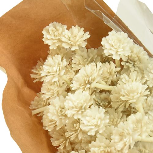 Prodotto Erba di curry artificiale bianco beige L28 cm 12 pezzi 1 mazzo