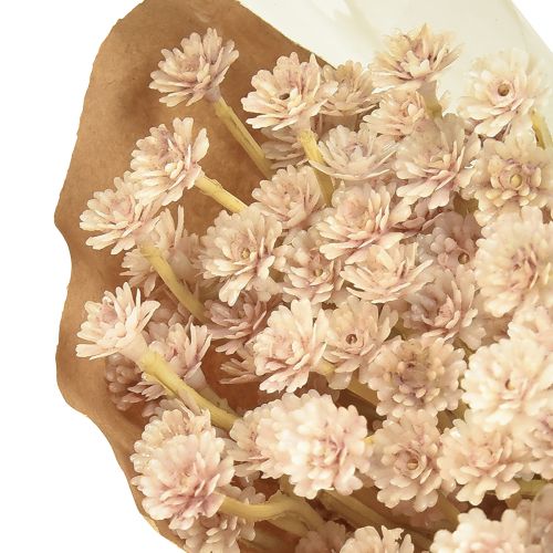 Prodotto Fiori artificiali di fiori di paglia italiani rosa L28 cm