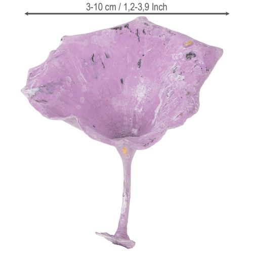 Prodotto Kalix Mushroom Viola, Bianco Lavato 100 pezzi