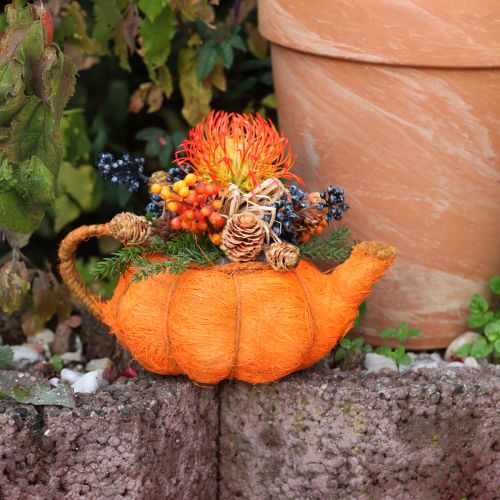 Floristik24 Brocca per piantare decorazioni di zucca arancione/giallo-verde Ø13cm
