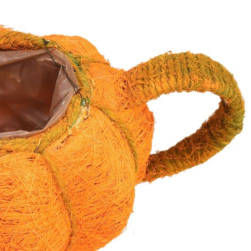 Prodotto Vaso per piantare zucca decorazione arancione/giallo verde Ø13cm