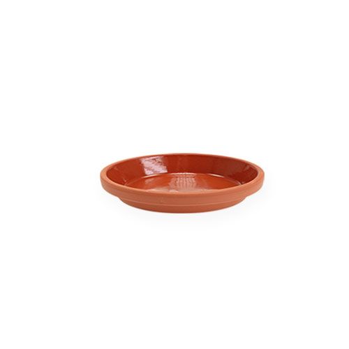 Floristik24 Sottobicchiere in terracotta argilla Ø5cm
