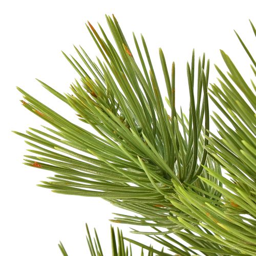 Floristik24 Mini albero di Natale artificiale di pino in vaso verde H72 cm