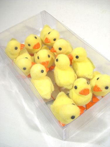 Floristik24 Pulcino m. Piedini per filo 8 cm 12 pezzi. giallo / arancio