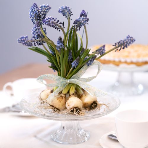 Prodotto Piatto torta in vetro classico con piede - Elegante per ogni festa Ø 20cm