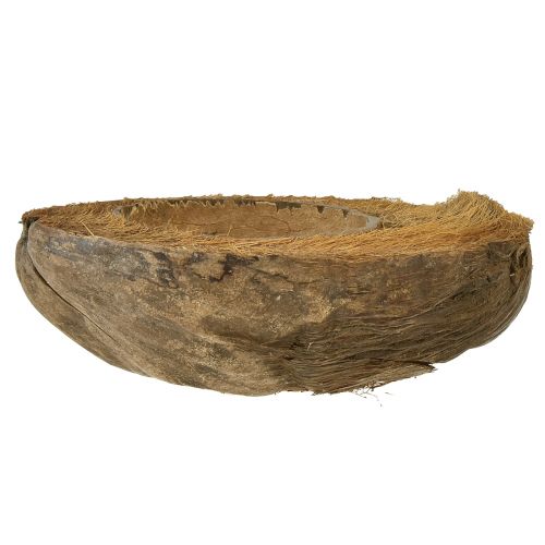Floristik24 Cocco come ciotola per piante vaso per piante naturale 20 cm 5 pz
