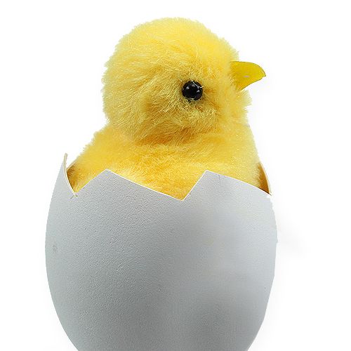 Floristik24 Pulcino pasquale 7cm 6pz