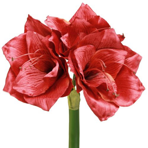 Prodotto Amaryllis artificiale Fiori artificiali Rosso Ø18cm L68cm 2 pezzi