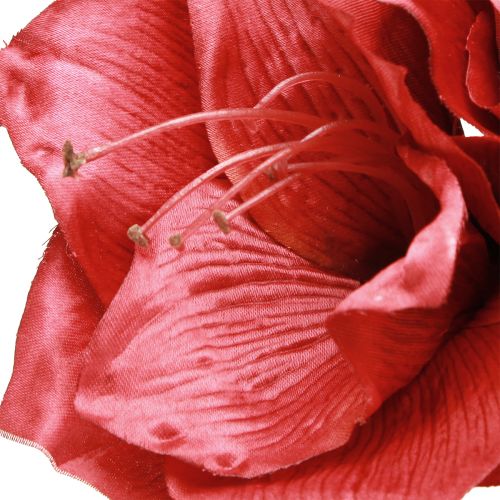 Prodotto Amaryllis artificiale Fiori artificiali Rosso Ø18cm L68cm 2 pezzi