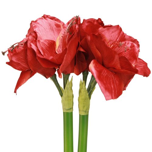 Prodotto Amaryllis artificiale Fiori artificiali Rosso Ø18cm L68cm 2 pezzi