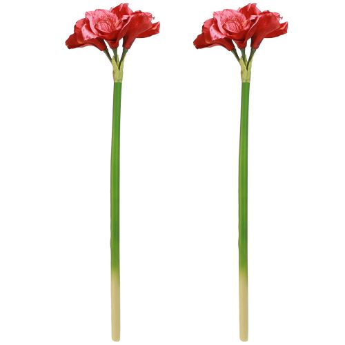 Prodotto Amaryllis artificiale Fiori artificiali Rosso Ø18cm L68cm 2 pezzi
