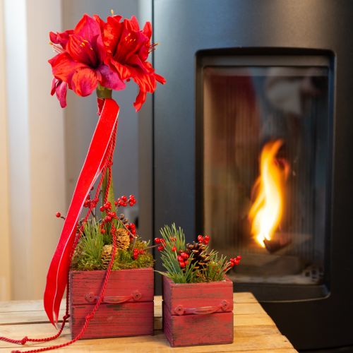 Prodotto Amaryllis artificiale Fiori artificiali Rosso Ø18cm L68cm 2 pezzi