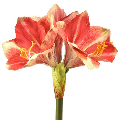 Amaryllis artificiale rosa e crema – Fiore a stelo grande 76 cm