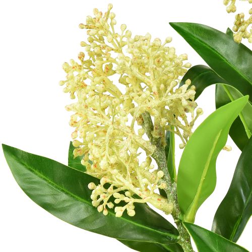 Prodotto Crema di fiori artificiali Skimmia japonica Skimmie 45 cm 2 pezzi