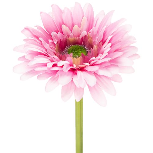 Gerbere artificiali da giardino, rosa, 47 cm, 6 pezzi acquistare | Floristik24.it